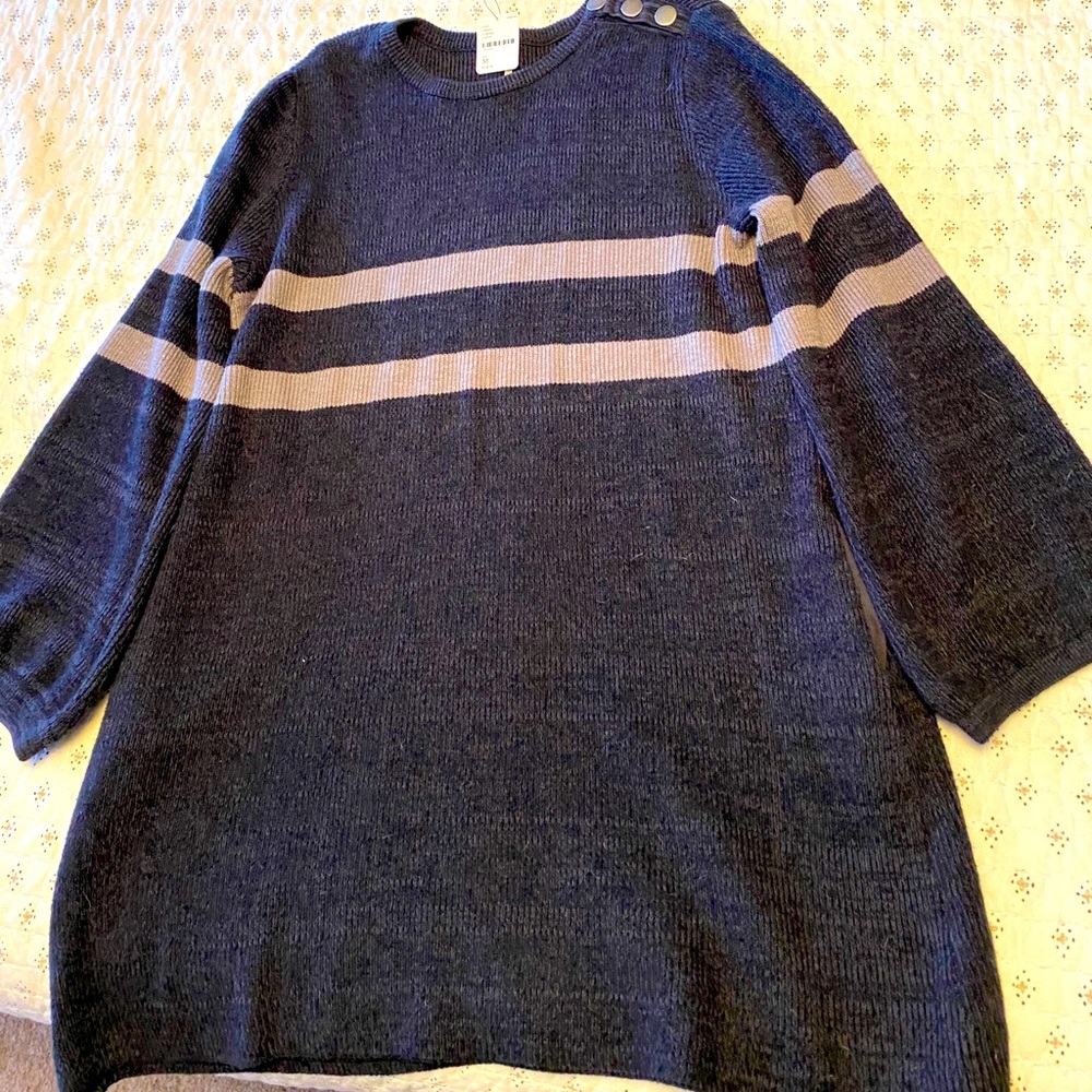 NWT Free people sweater dress